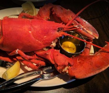Whole cooked lobster on white plate